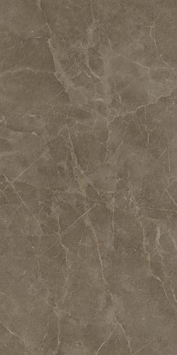 Atlas Concorde Russia Supernova Stone Grey Wax 60x120 / Основное малое изображение