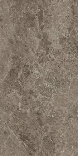 Victory Taupe 80X160 Ректификат