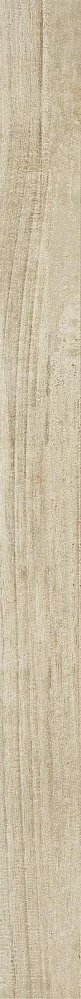 Ragno Woodstyle Faggio  Ректификат  10х120 / Основное большое изображение