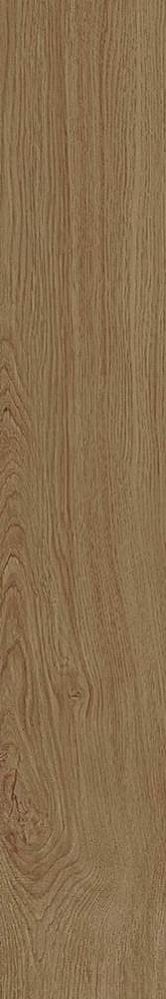 Ragno Woodpassion Brown 15х90 / Основное большое изображение