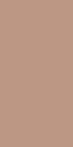 Керамогранит APE  Terracotta Matt Rect 60х120