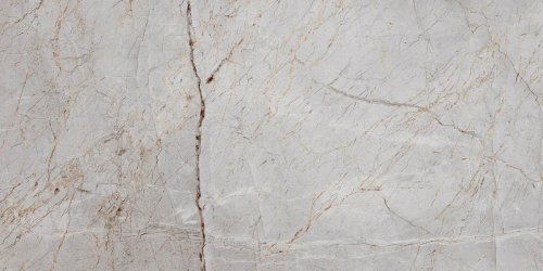 Silver Root  60х120 Полированный