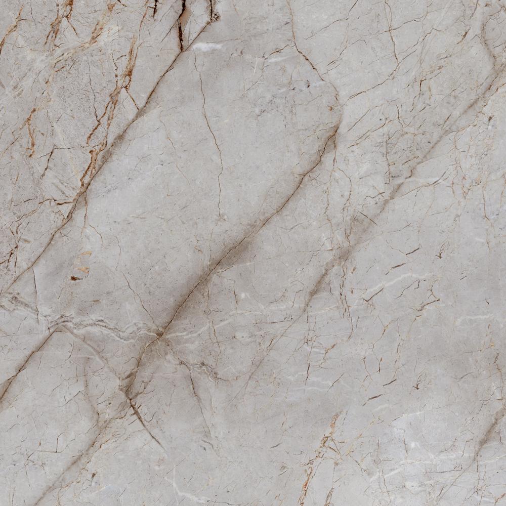 Laparet Silver Root  60х60 Полированный / Основное большое изображение