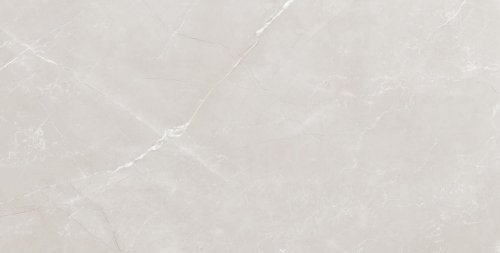 Vitrum Grey  серый 60x120 полированный