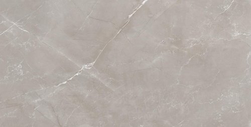 Vitrum Grigio  серый 60x120 полированный