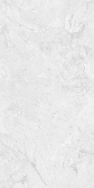 Neodom Leroy Silver Carving  60×120 / Основное большое изображение