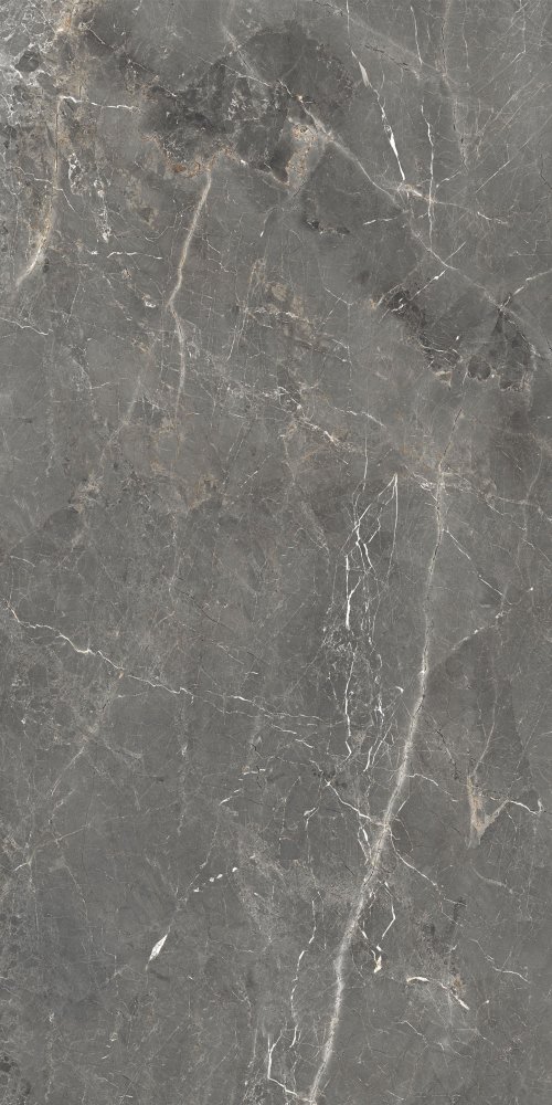GlobalTile GT1206012109SPR Керамогранит Tulip_GT Темно-сер. 60x120 _ 1\46,08 / Основное большое изображение