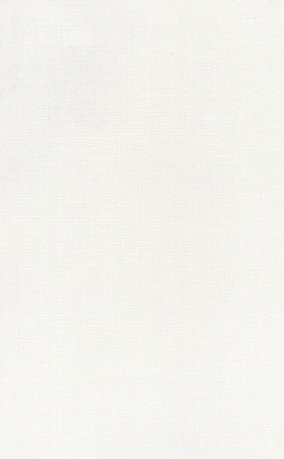 Kerama Marazzi 6387 Ауленсия серый 25*40 керамическая плитка / Основное большое изображение