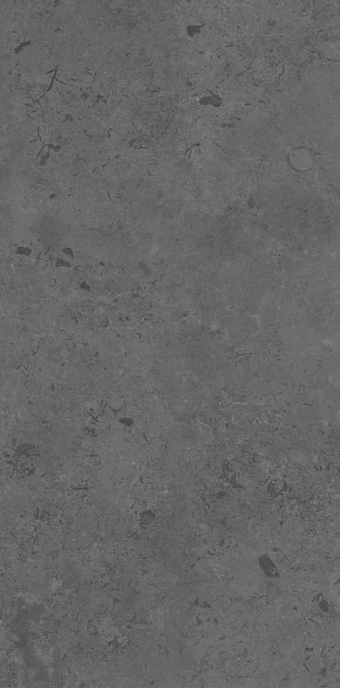 Kerama Marazzi Керамогранит Про Лаймстоун серый тёмный натуральный обрезной 60x119,5 / Основное большое изображение