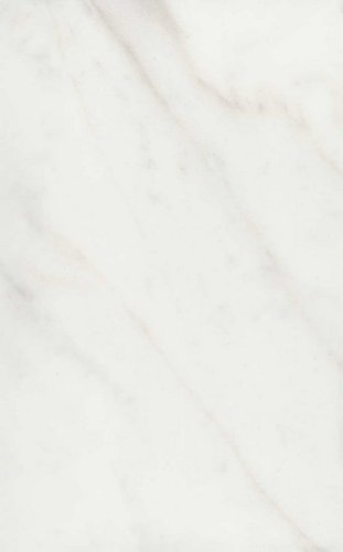 Гран Пале белый глянцевый 25x40x0,8