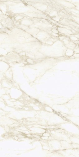 Микеланджело Ворм 60x120 Рет