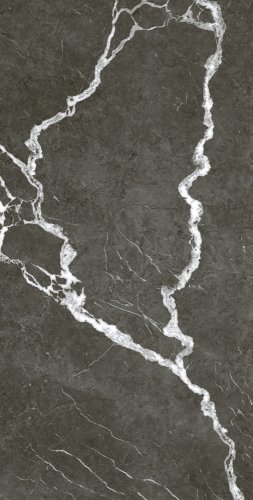 Микеланджело Дарк 60x120 Рет